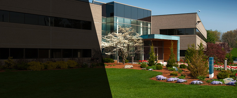Whitmore Lake Landscapers