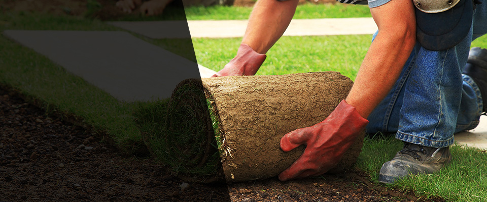 Whitmore Lake Landscapers